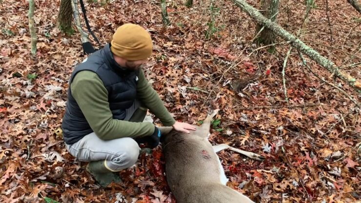 Bleed your deer by cutting the throat