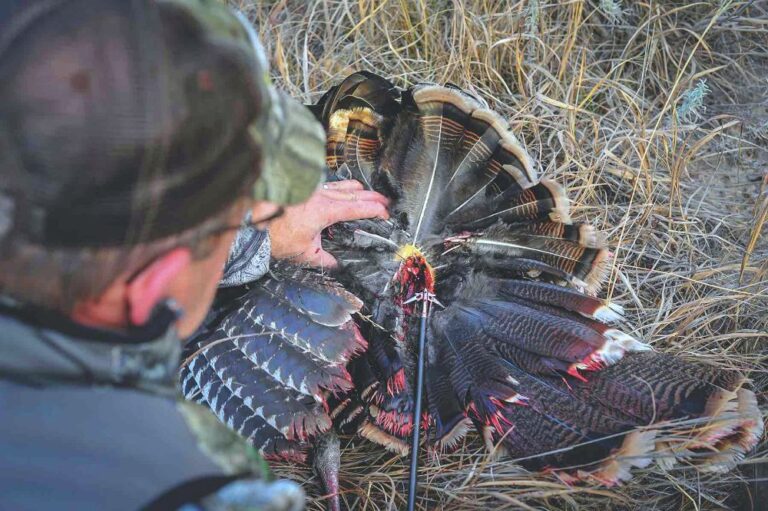 How To Clean Your Wild Turkey The Jump