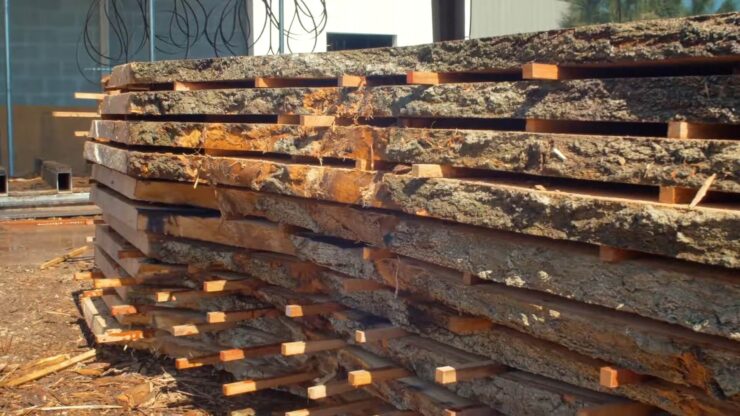 Laurel Oak Log