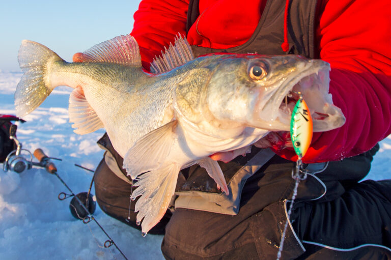 A Beginner's Guide to Ice Fishing on Lake 2023 The Jump